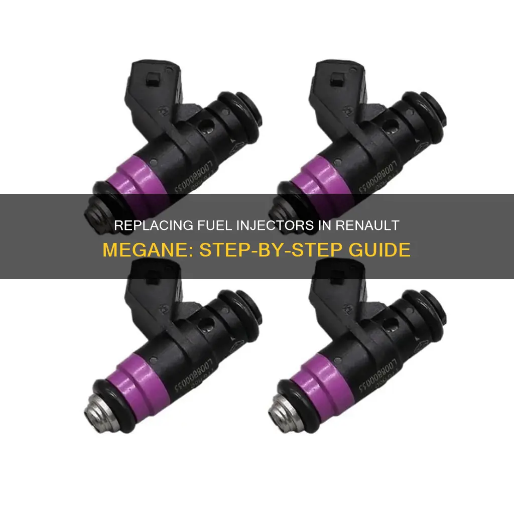 how to change fuel injectors on renault megane