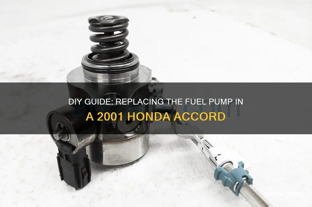 how to change fuel pump 2001 honda accord