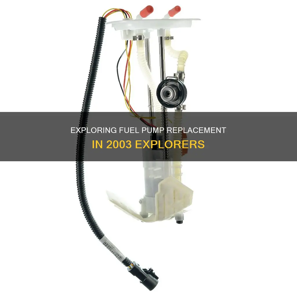 how to change fuel pump in 2003 explorer