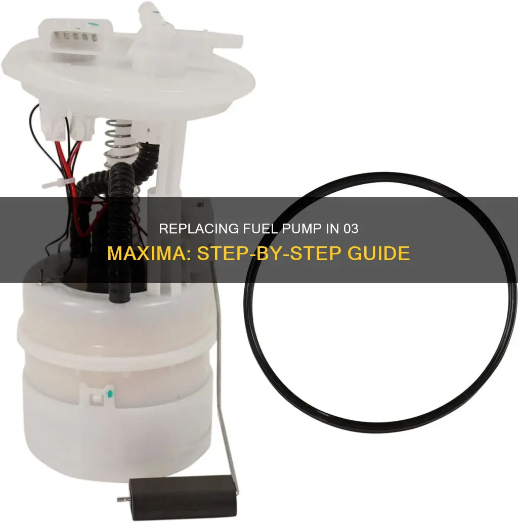 how to change fuel pump on 03 maxima