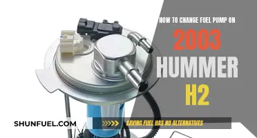 Replacing the Fuel Pump in Your 2003 Hummer H2