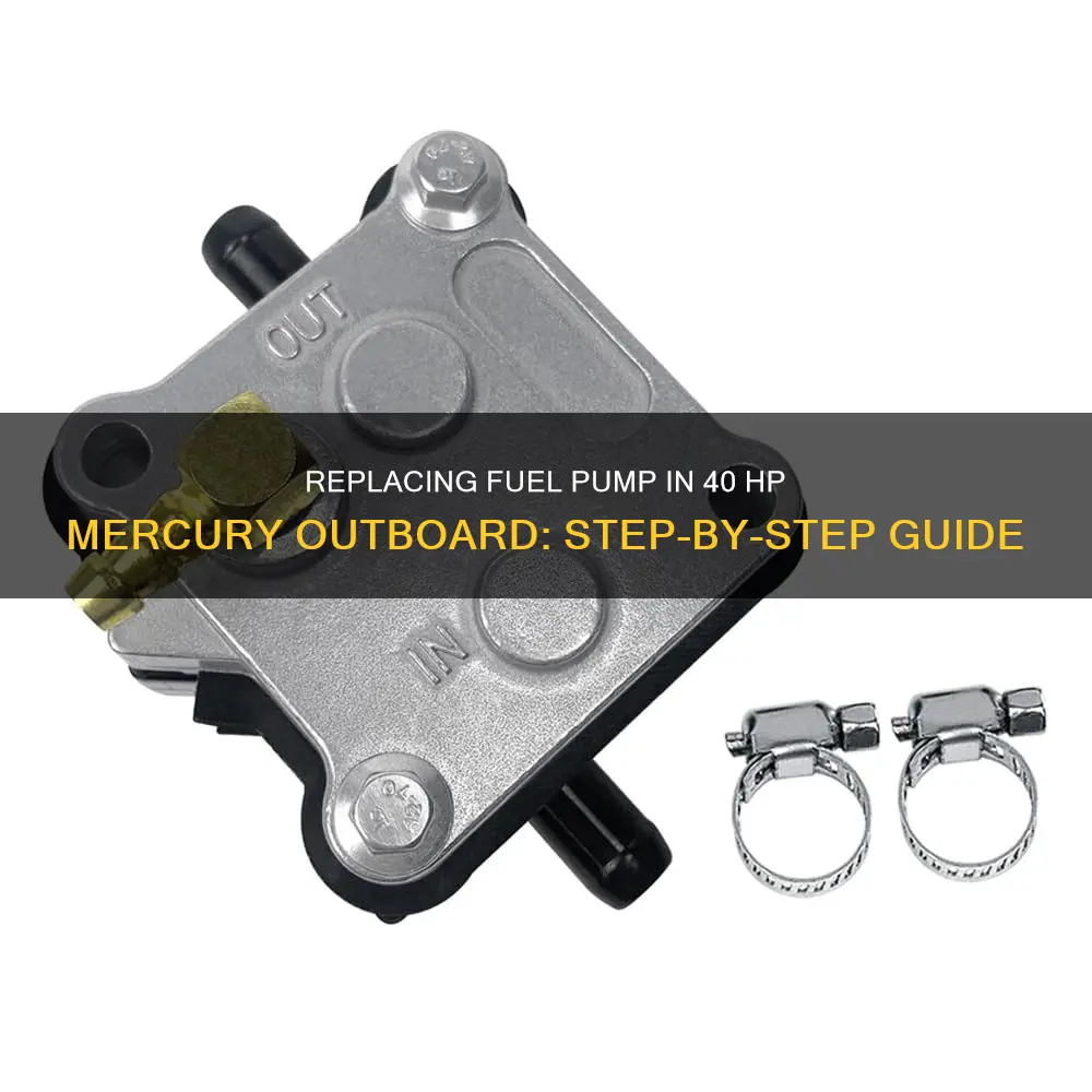 how to change fuel pump on 40 hp mercury outboard