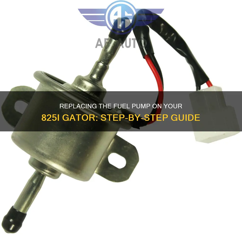 how to change fuel pump on 825i gator