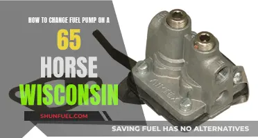 Replacing the Fuel Pump in a Wisconsin Engine