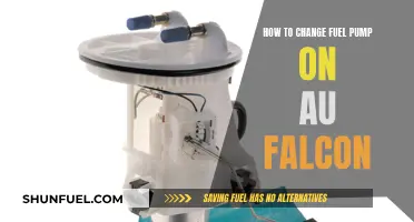 Replacing the Fuel Pump in an AU Falcon: Step-by-Step Guide