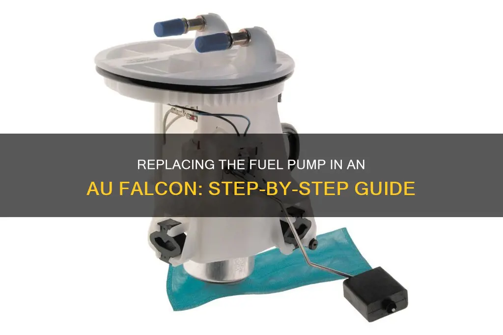 how to change fuel pump on au falcon