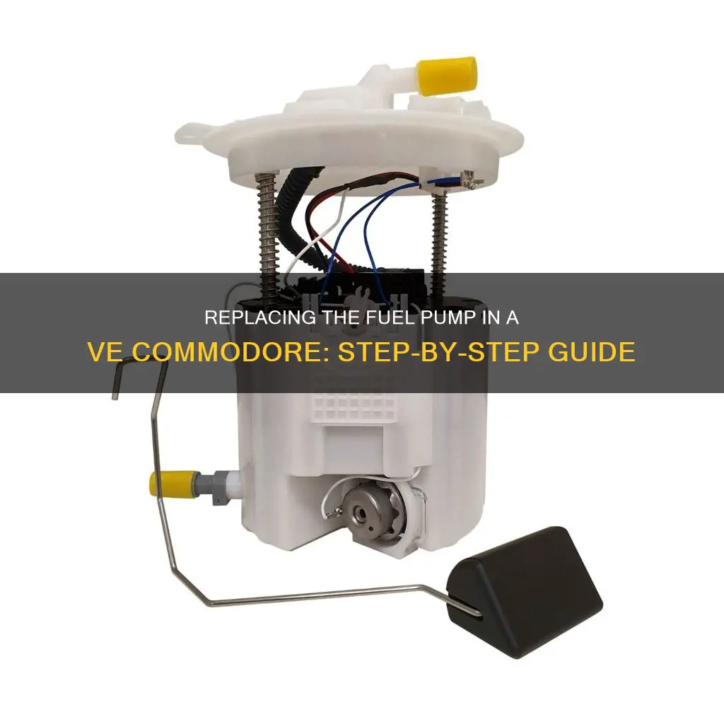 how to change fuel pump on ve commodore