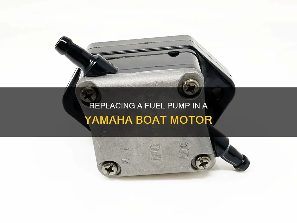 how to change fuel pump on yamaha boat motor