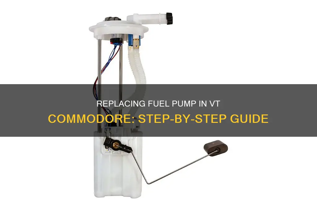 how to change fuel pump vt commodore