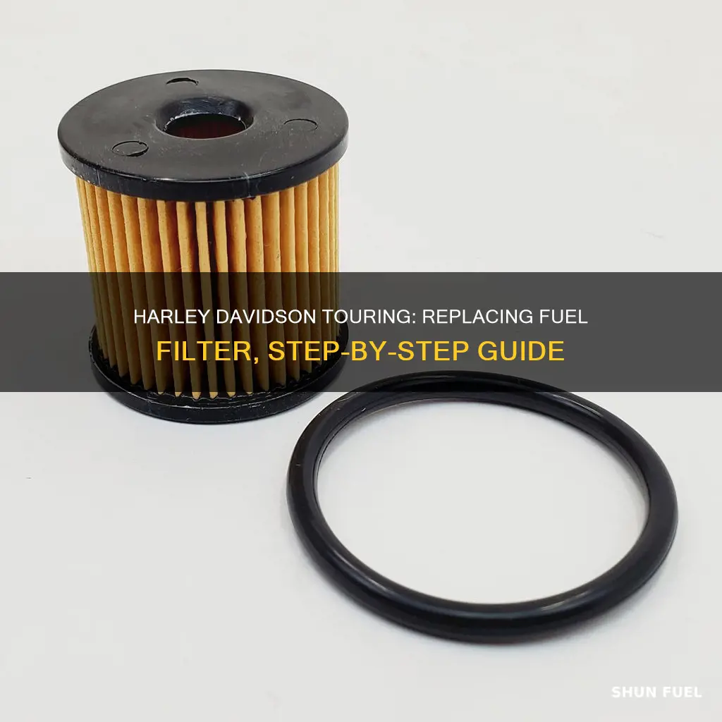 how to change harley davidson touring fuel filter