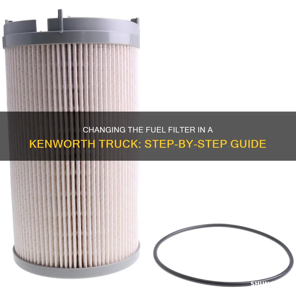 how to change kenworth paccar fuel filter