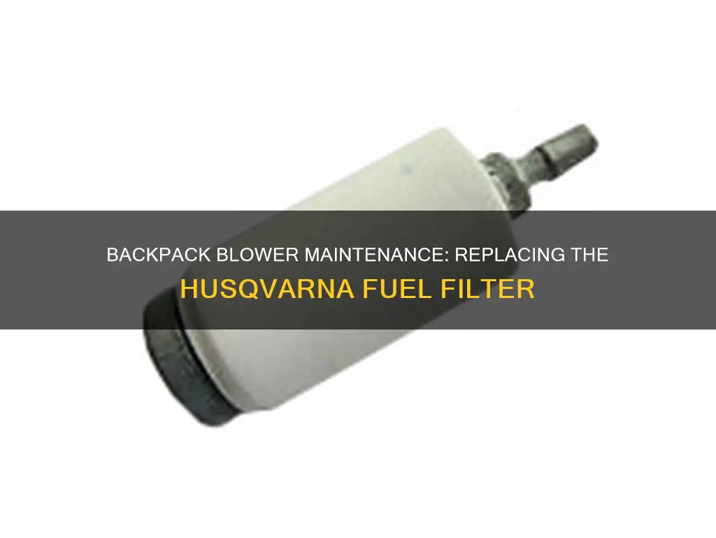 how to change the fuel filter in backpack blower husqvarna