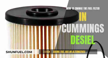 Changing the Fuel Filter in Cummings Diesel: Step-by-Step Guide