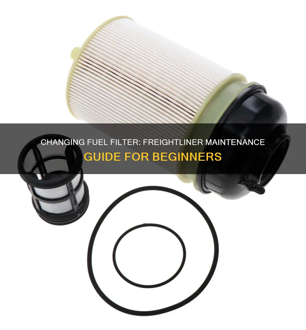 how to change the fuel filter on a 14 freightliner