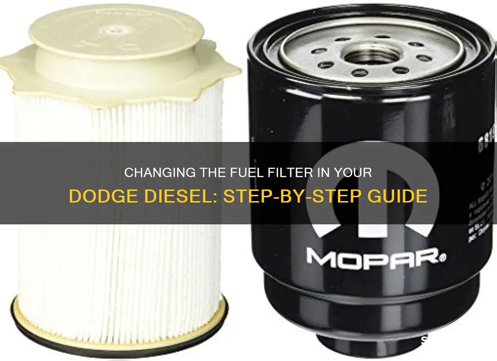 how to change the fuel filter on a dodge diesel