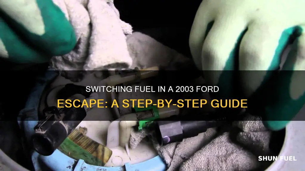 how to change the fuel on a 2003 ford escape