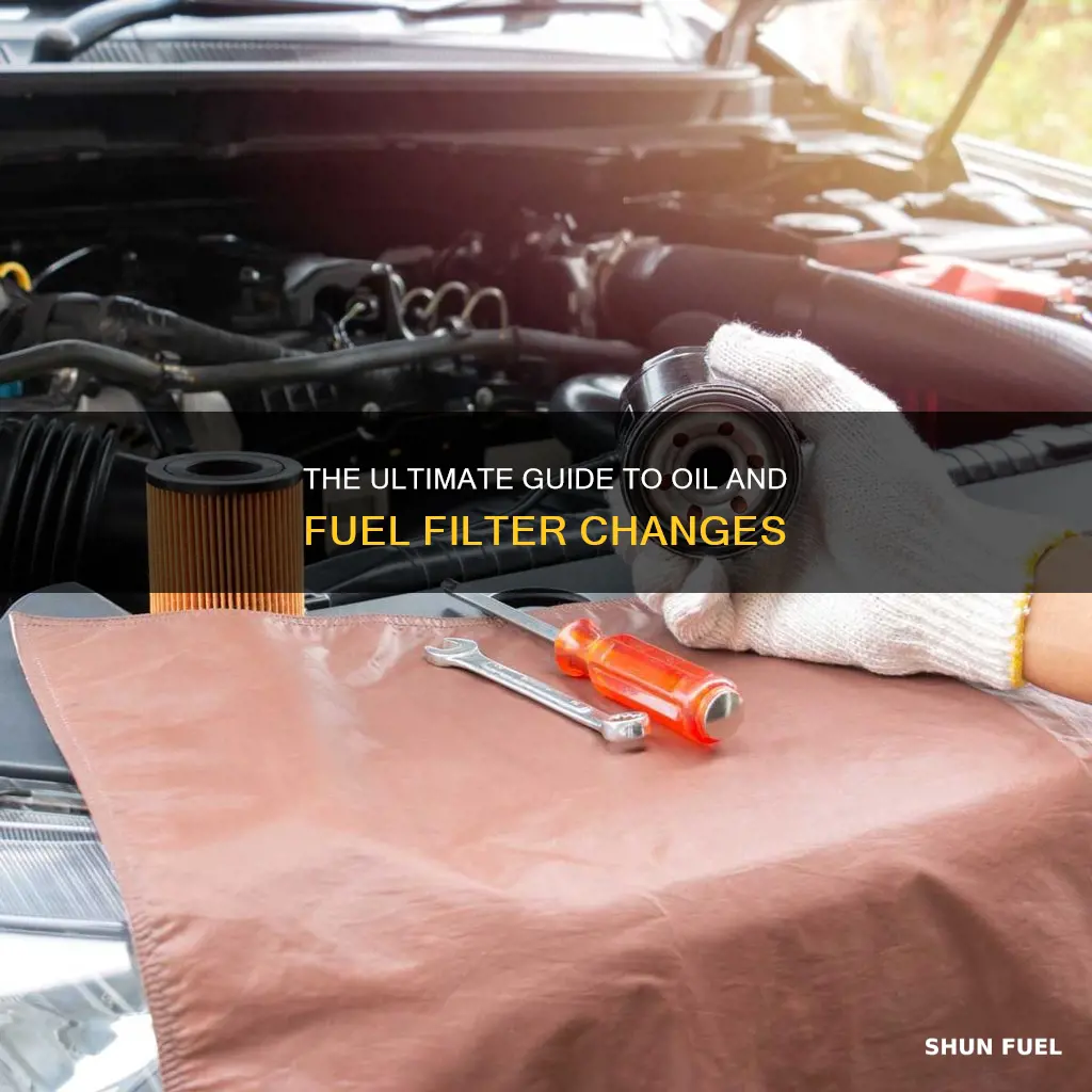 how to change the oil and fuel filter