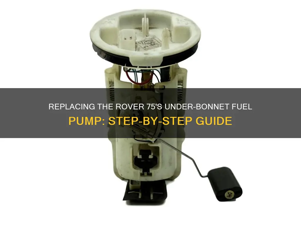 how to change under bonnet fuel pump rover 75