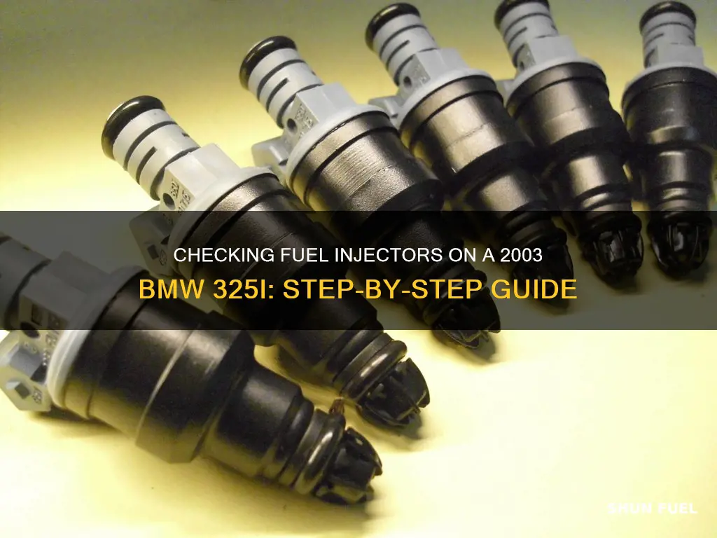 how to check 2003 bmw 325i fuel injectors