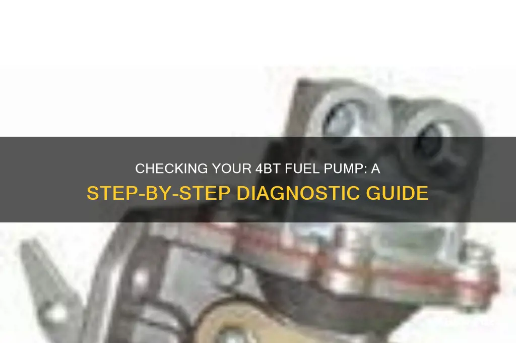 how to check 4bt fuel pump