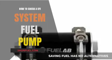 EFI System Fuel Pump Check: A Step-by-Step Diagnostic Guide