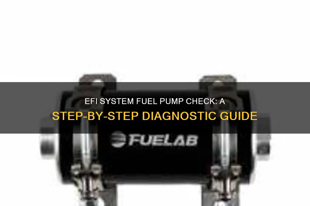 how to check a efi system fuel pump
