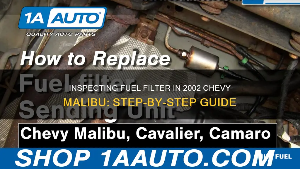 how to check a fuel filter 2002 chevy malibu