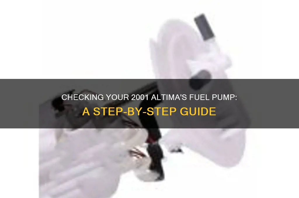 how to check a fuel pump 2001 altima