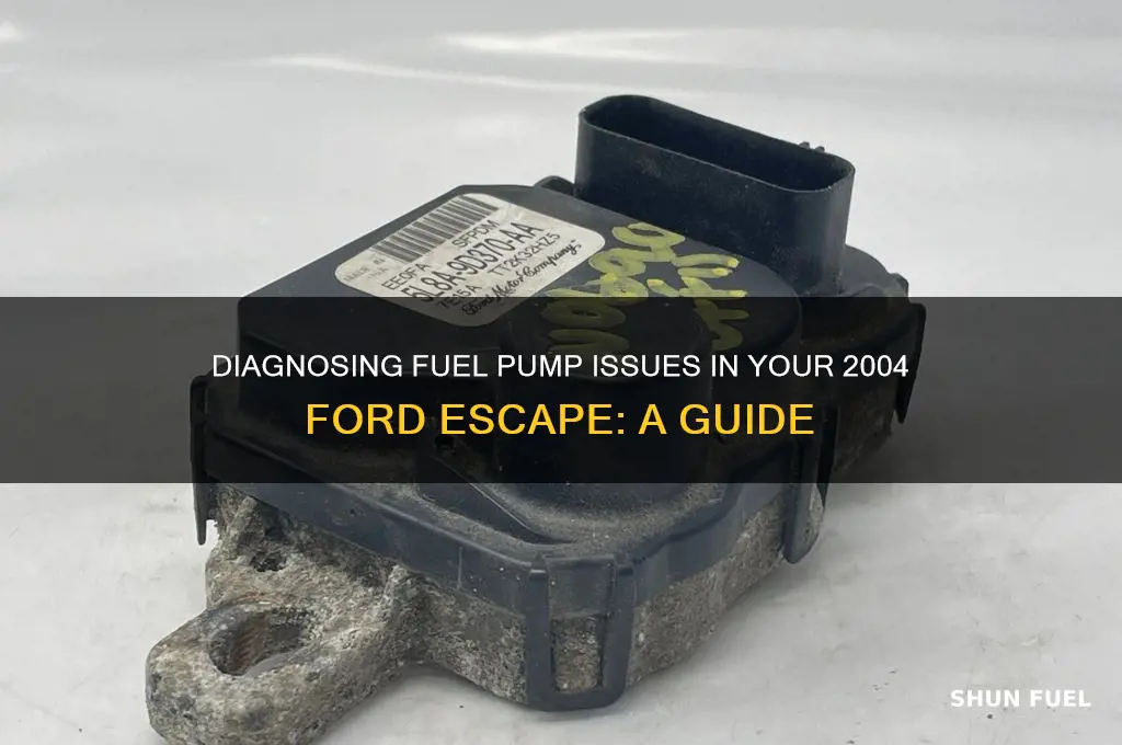 how to check a fuel pump 2004 ford escape
