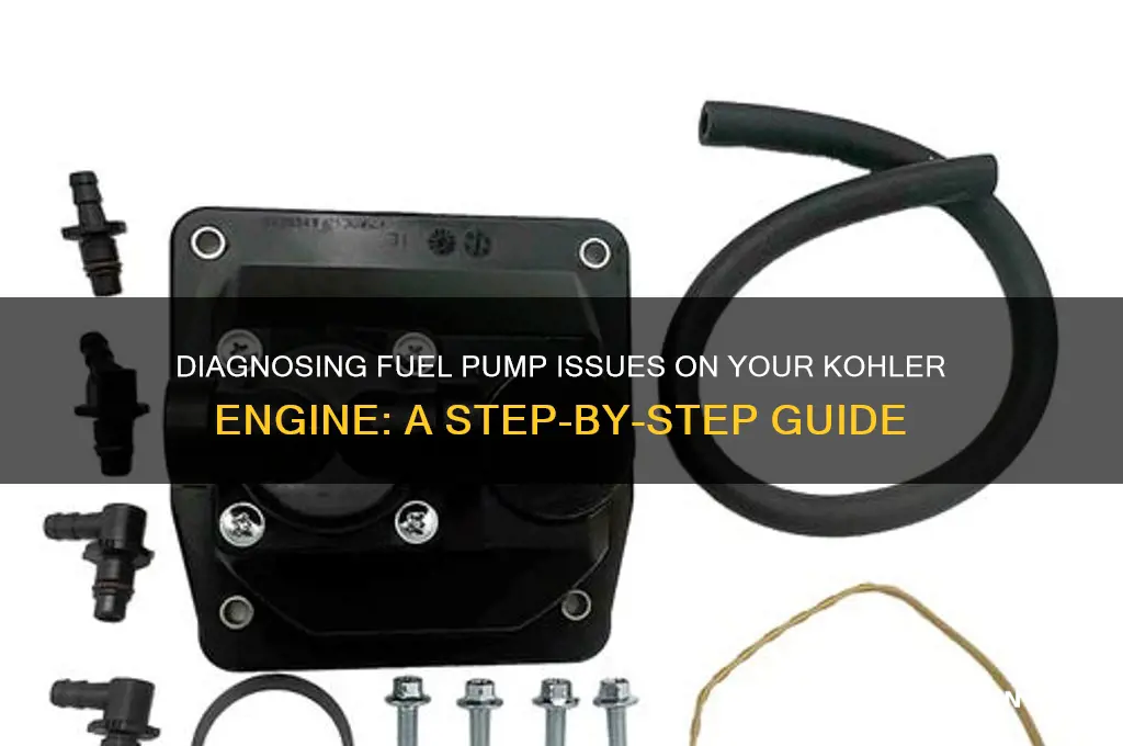 how to check a fuel pump on a kohler engine