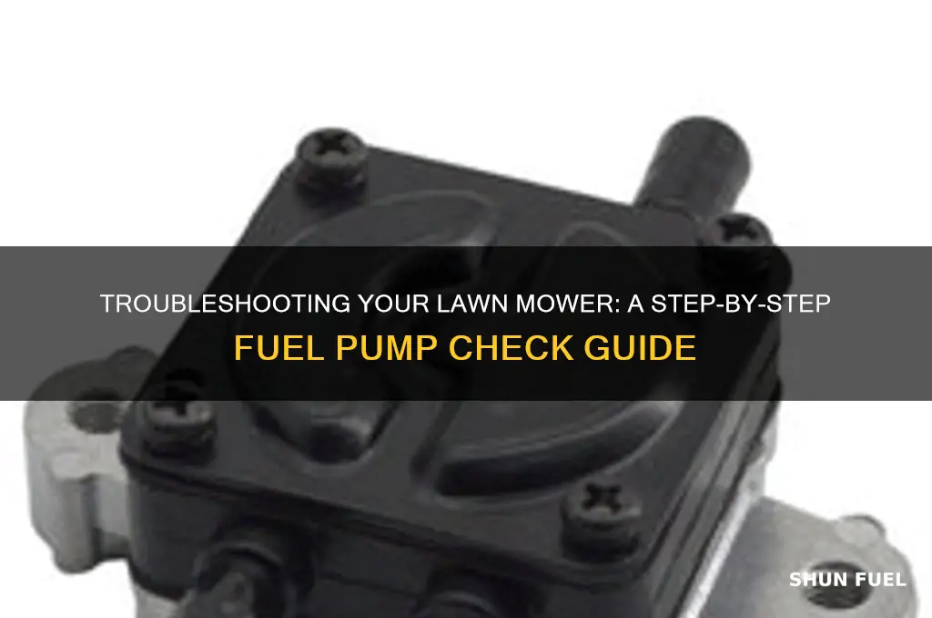 how to check a fuel pump on a lawn mower