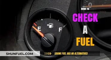 Quick Guide: Checking Your Vehicle's Fuel Level and Quality