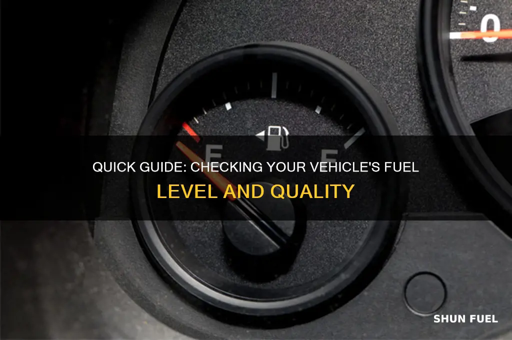 how to check a fuel