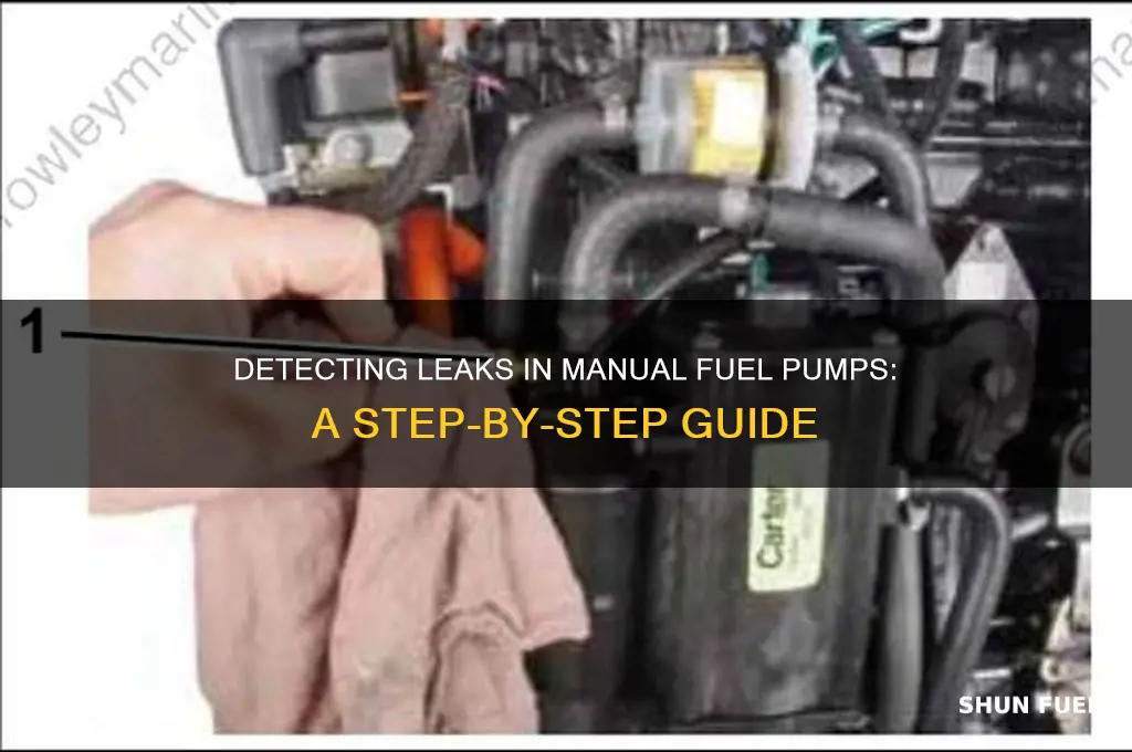 how to check a manual fuel pump for leaks