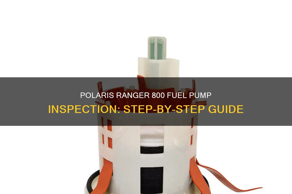 how to check a polaris ranger 800 fuel pump