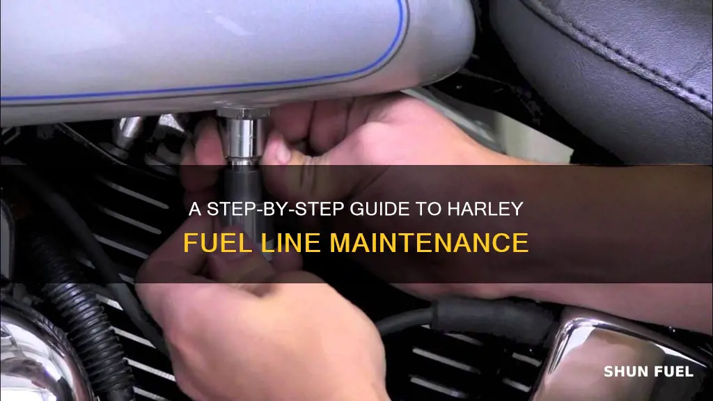 how to check and replace fuel line on harley