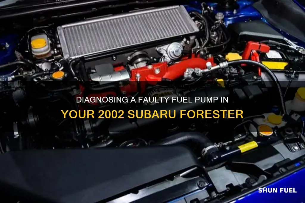 how to check bad fuel pump 2002 subaru forester