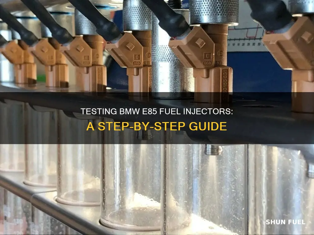 how to check bmw e85 fuel injectors