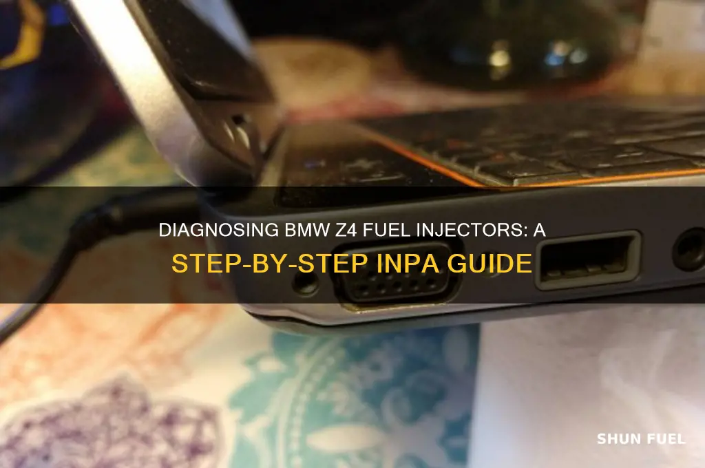 how to check bmw z4 fuel injectors using inpa