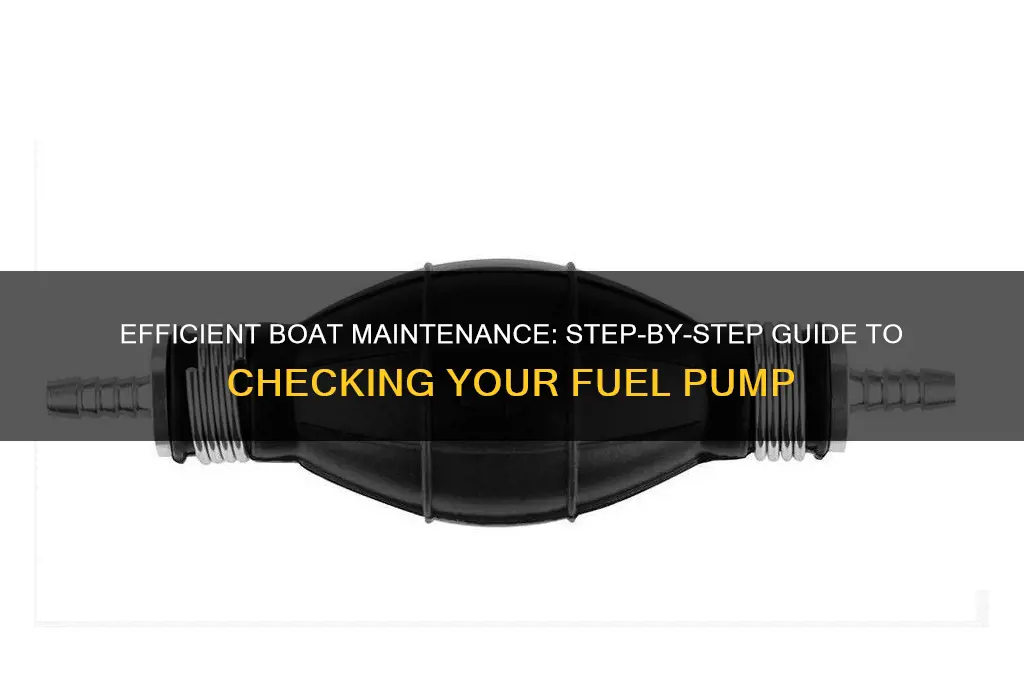 how to check boat fuel pump
