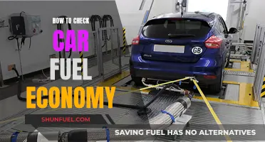 Maximize Your Mileage: A Guide to Checking Car Fuel Economy