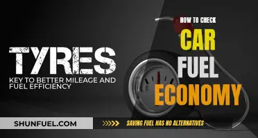 Fuel Efficiency: Monitoring Your Car's Gas Mileage