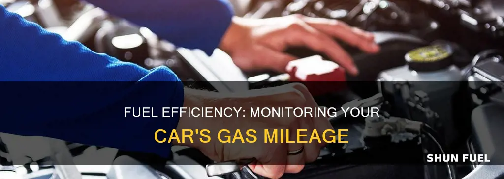 how to check car fuel economy