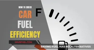 Maximizing Fuel Efficiency: Simple Checks for Your Car