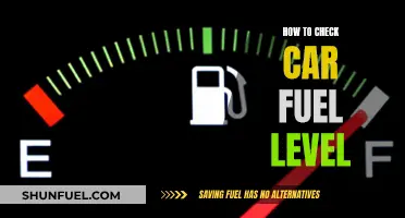 Mastering the Art of Checking Your Car's Fuel Level