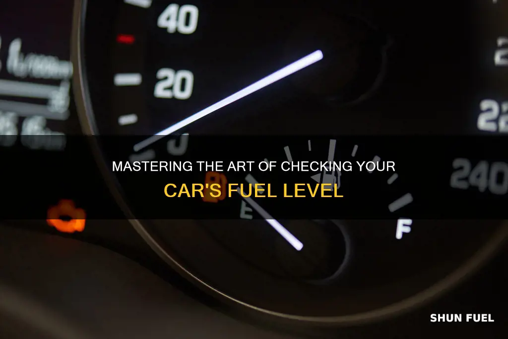 how to check car fuel level