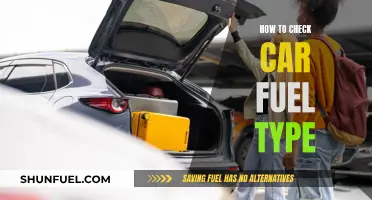 Unleash Your Car's Fuel: A Quick Guide to Checking Its Type