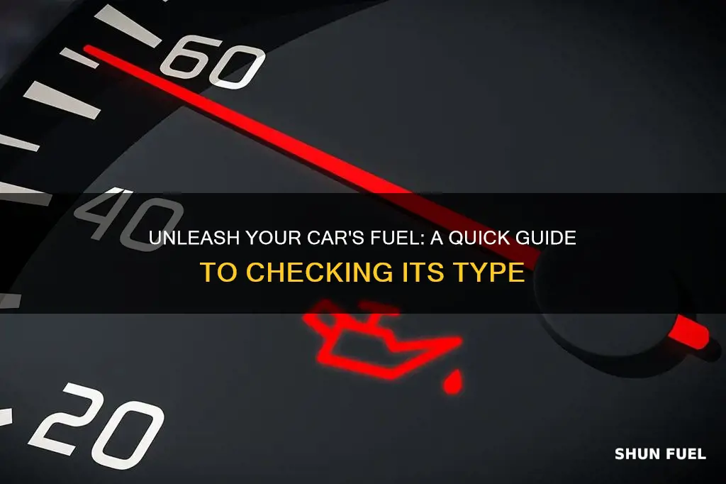 how to check car fuel type