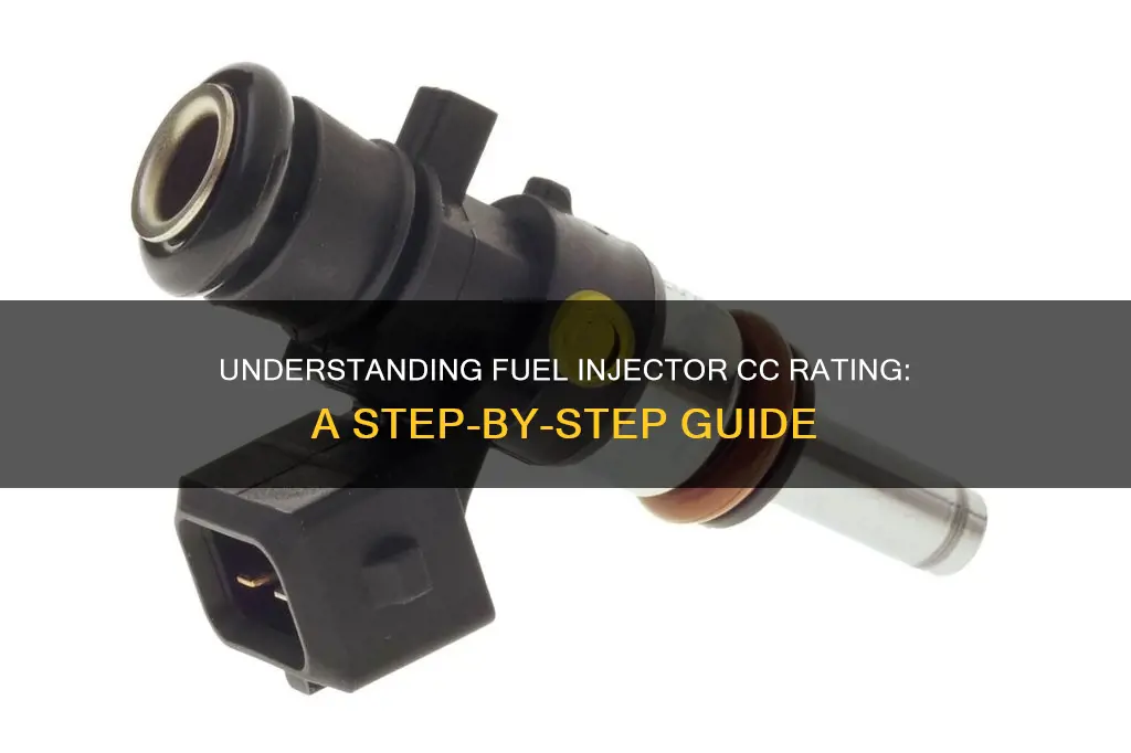 how to check cc on my fuel injectors