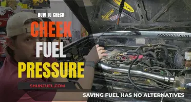 Checking Fuel Pressure: A Guide for Your Cheek's Sake